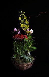 Orchid Basket